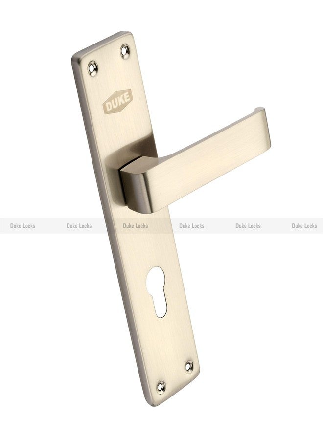 دوق طقم مقبض باب DUKE Mortic مع قفل، تشطيب من الفولاذ المقاوم للصدأ، مقاوم للعوامل الجوية، سمك الباب من 25 إلى 40 مم، أسطوانة نحاسية مع 3 مفاتيح - Image 4